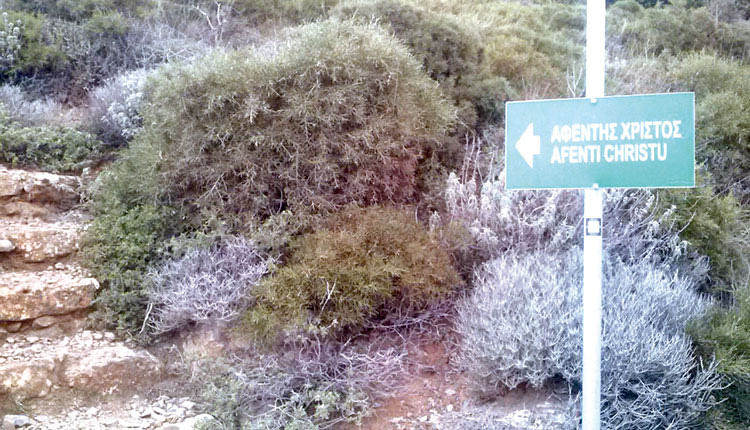 αφεντης χρηστος γιούχτας