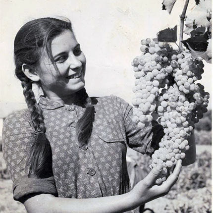 ΑΥΓΟΥΣΤΟΣ ΣΤΑΦΥΛΙΑ