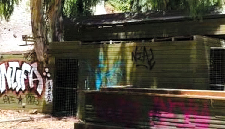 βανδαλισμός Ευκάλυπτος