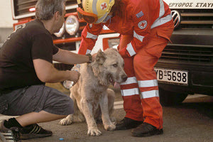 Μία από τις πολλές διασώσεις