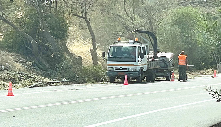    Παγίδες και… προσανάμματα