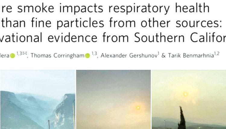 επιπτωσεις από πυρκαγιές