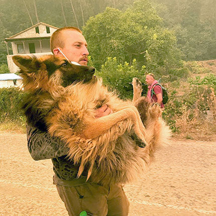 Εθελοντής απεγκλωβίζει λυκόσκυλο που οι ιδιοκτήτες του δεν πρόλαβαν να το πάρουν πάνω στον πανικό τους