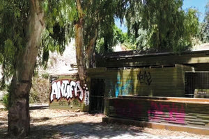 ΕΥΚΑΛΥΠΤΟΣ