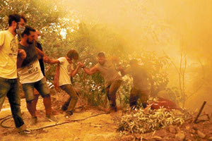 ΠΥΡΚΑΓΙΑ ΕΥΒΟΙΑ: ΑΝΘΡΩΠΙΝΗ ΑΛΥΣΙΔΑ