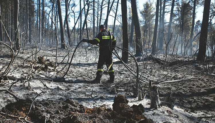 πυρκαγιά εύβοια καμμένα