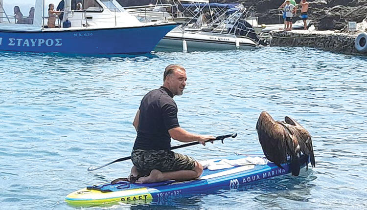 ΔΙΑΣΩΣΗ ΓΥΠΑΕΤΟΥ: ο αρχηγός της ομάδας πόλο του ΟΦΗ, Γιώργος Σπαγουλάκης