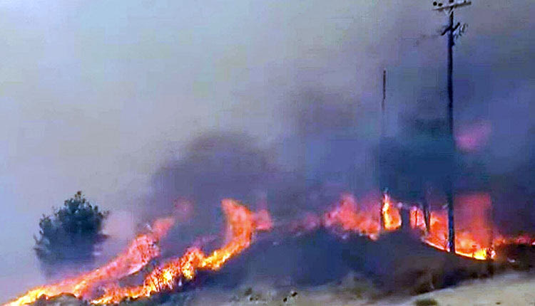 αυτοψια πυρκαγια γούρνες