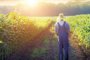 Σειρά προτάσεων από τους αγρότες για τη νέα Κοινή Αγροτική Πολιτική