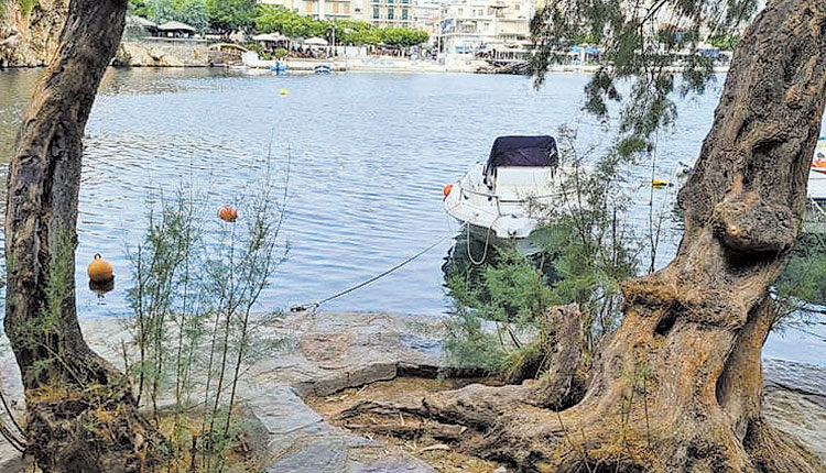 Στο επιχειρησιακό πρόγραμμα της Περιφέρειας η ανάπλαση του πάρκου