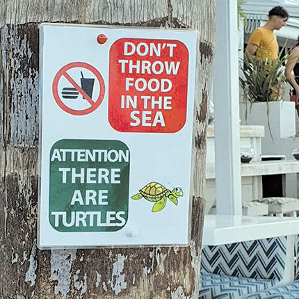 ΧΕΛΩΝΕΣ ΤΑΜΠΕΛΑ 