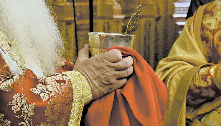 ΘΕΙΑ ΚΟΙΝΩΝΙΑ