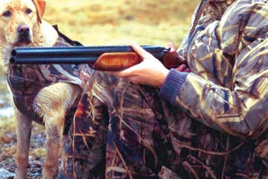 Απαγορεύτηκε το κυνήγι, όπως ήταν αναμενόμενο, στις καμένες περιοχές