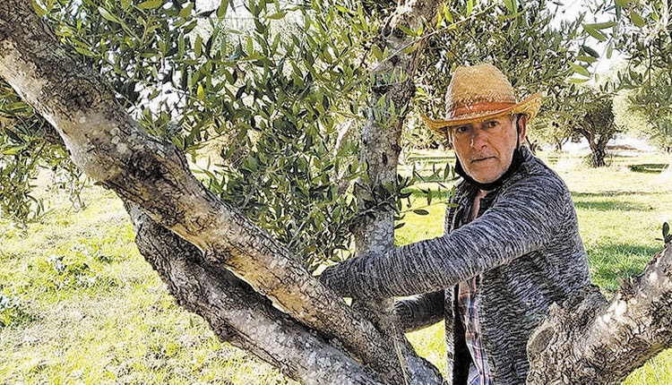 o φωτορεπόρτερ Γιάννης Κανελλόπουλος