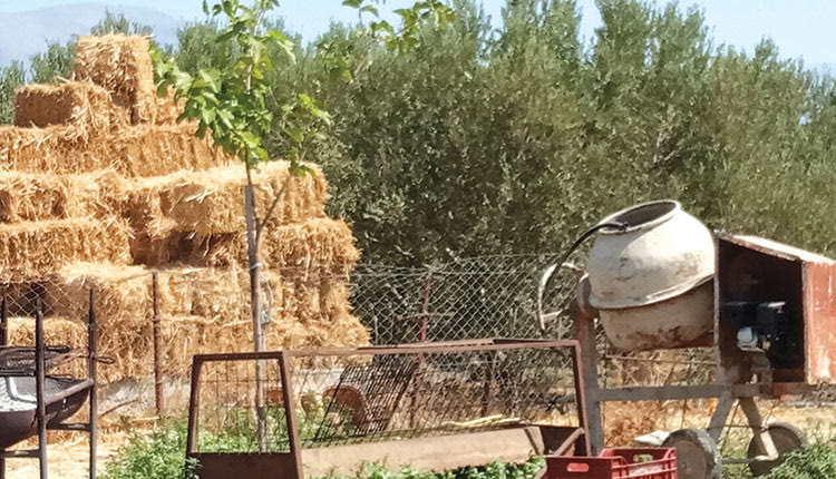 Εδώ πίσω ήταν κρυμμένος ο 27χρονος δολοφόνος 