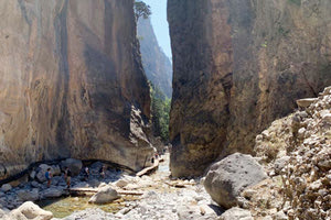 Στις φθινοπωρινές ομορφιές του νησιού σύλλογοι και φορείς