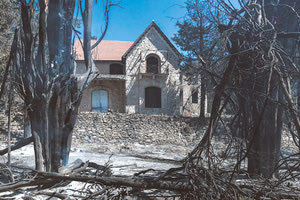 καμένα στο π. βασιλικό κτήμα στο Τατόι