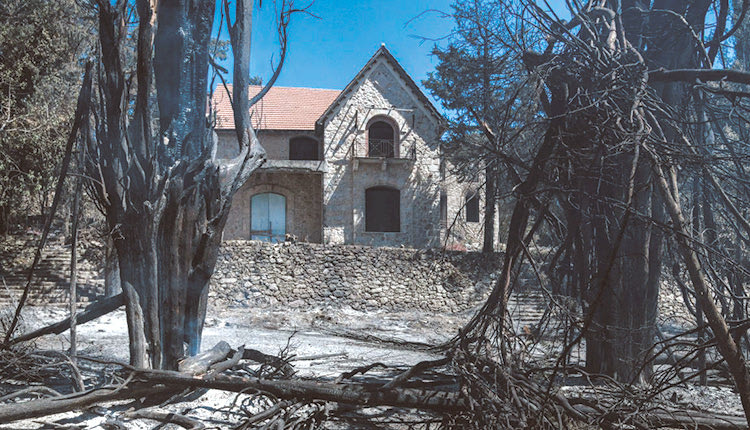 καμένα στο π. βασιλικό κτήμα στο Τατόι