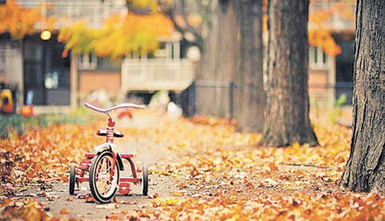 μοσχονας φθινόπωρο