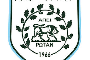 ΠΑΣ ΓΙΑΝΝΙΝΑ ΣΗΜΑ