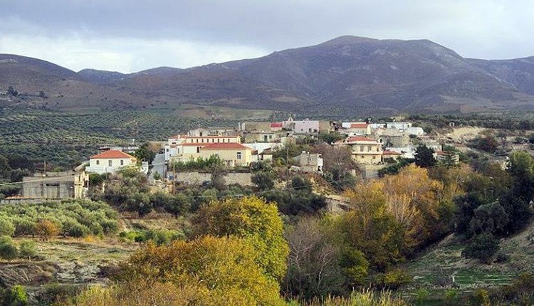 ΒΑΣΙΛΙΚΗ ΓΟΡΤΥΝΑΣ ΑΣΤΕΡΟΥΣΙΑ