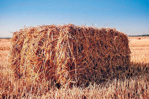 Ο ηλικιωμένος τοποθέτησε gps στην μπάλα με τις ζωοτροφές