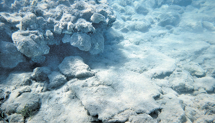 Τμήμα πλακόστρωτου δαπέδου ρωμαϊκού κτηρίου στον κόλπο της Χιόνας