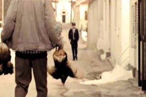 Ηράκλειο: Αθωώθηκαν οι τρεις φίλοι για την «απαλλοτρίωση» των κοτετσιών 