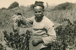 ΦΩΤΟΗΜΕΡΑΣ: Κρητικός αμπελουργός τη δεκαετία του ‘50 επιδεικνύει με υπερηφάνεια τη σοδειά του.