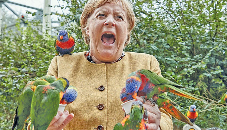 Σε πάρκο πτηνών βρέθηκε  η καγκελάριος Άγγελα Μέρκελ, στο πλαίσιο επίσκεψής της στη μέχρι τώρα εκλογική της περιφέρεια, το Μεκλεμβούργο-Πομερανία