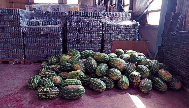 Οργανώσεις συγκεντρώνουν χρήματα για τους σεισμόπληκτους