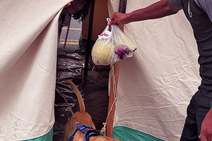 Ο Ρίκο προσαρμόστηκε γρήγορα στη σκηνή