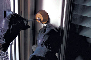 Από χρυσές λίρες μέχρι καπνό έκλεβαν οι Γεωργιανοί