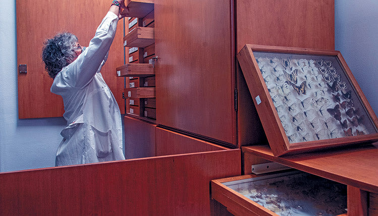 Το ΕΛΚΕΘΕ από σήμερα θα εμπλουτίζει τις συλλογές του ΜΦΙΚ, παραχωρώντας δείγματα διαφόρων φυτικών και ζωικών ειδών, από όλα τα υδάτινα και θαλάσσια οικοσυστήματα που μελετά