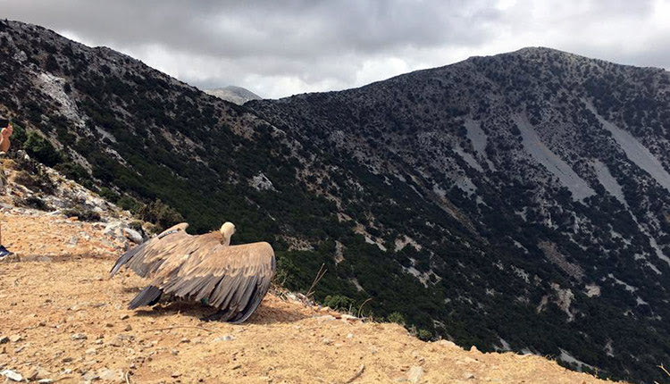 «Όχι» στις ανεμογεννήτριες λέει ο ΕΟΣ Λασιθίου
