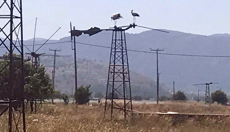 «Όχι» στις ανεμογεννήτριες λέει ο ΕΟΣ Λασιθίου