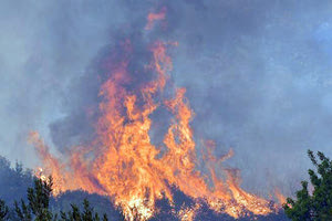 Όλα δείχουν εμπρησμό στη Γαλίφα