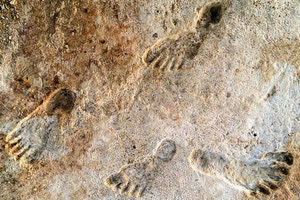 Στην Κρήτη οι αρχαιότερες πατημασιές προγόνων του ανθρώπου