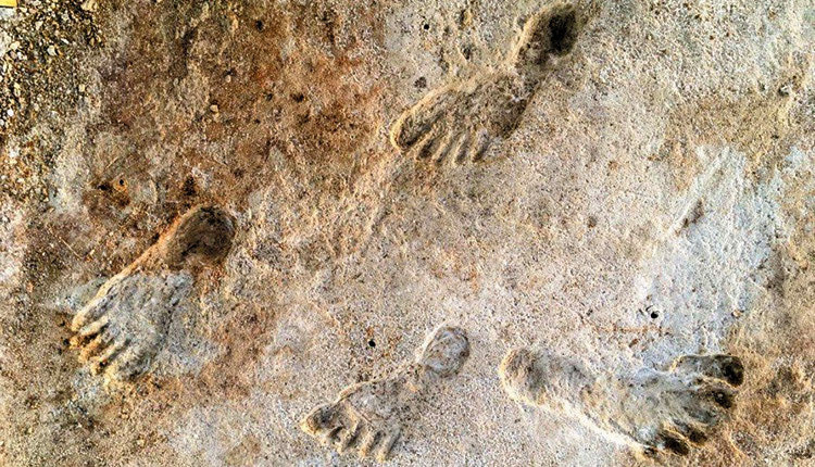 Στην Κρήτη οι αρχαιότερες πατημασιές προγόνων του ανθρώπου