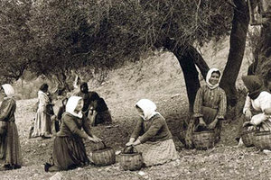 ΦΩΤΟΗΜΕΡΑΣ: Οι μέρες του λιομαζώματος στην Κρήτη. Η φωτογραφία από την Πρέβελη το 1911.