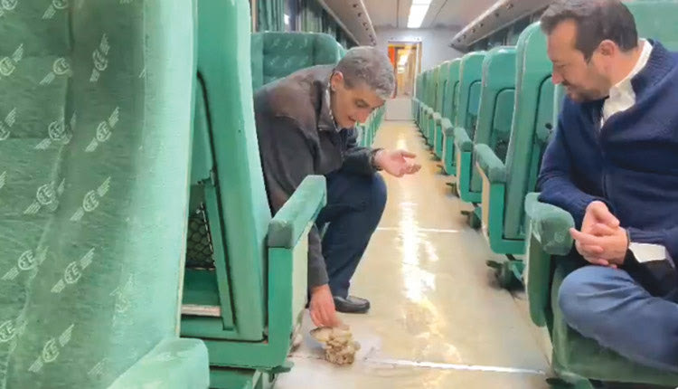 Ο Παππάς με τον Γιαννούλη του ΣΥΡΙΖΑ μπήκαν σε ένα τρένο και βρήκαν… μανιτάρια να έχουν φυτρώσει στο πάτωμα του βαγονιού