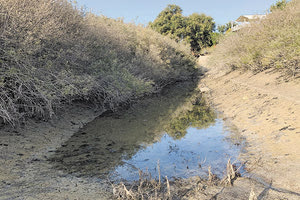 ΛΙΜΝΗ ΚΟΥΡΝΑ