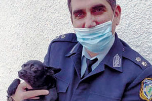 Συγκινεί η στάση της Γουΐνι