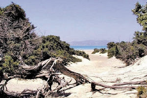 Μόνο περίπλους για να σωθεί η νήσος Χρυσή