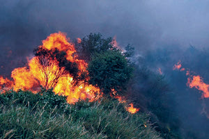 “Βοσκοφωτιές” βλέπουν οι πυροσβέστες πίσω από πυρκαγιές των τελευταίων 24ωρων