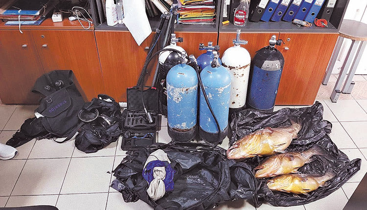Ψάρευαν ροφούς με μπουκάλες και φακούς