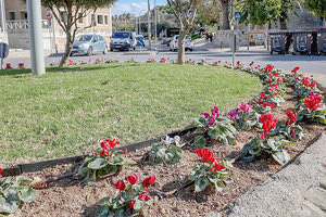 φυτεύσεις πρασίνου στους κυκλικούς κόμβους