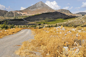 το δάσος της Κέρης