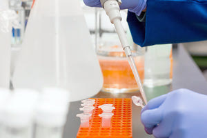 ΙΙΚΟ ΦΟΡΤΙΟ ΛΥΜΑΤΑ