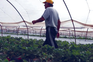 Τεράστια τα προβλήματα των αγροτών